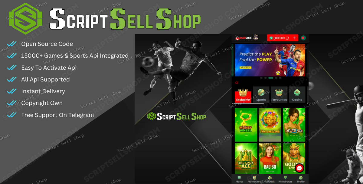 Baji Betting Site Script Source Code — WordPress Themes — Script Sell Shop